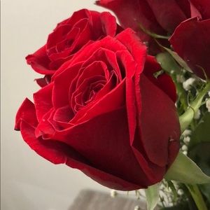 Meet your Posher, Ruba